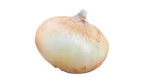 Luk dalmatinski slatki