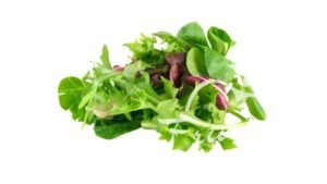 Mix salata