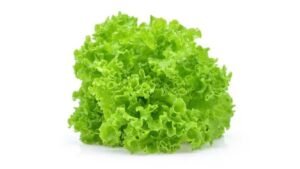 Salata kristalka